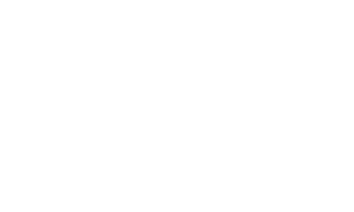 Logo Kuehne + Nagel